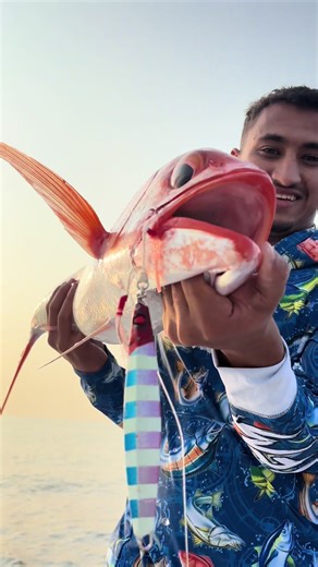 ‏جيج ساموراي #ساموراي_سبارو #samurai_sparrow