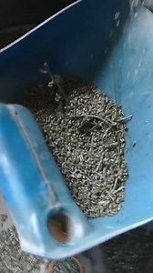 Amazing Plastic Recycling Process | Magic