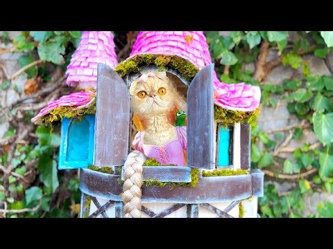 True Story about The smallest Rescued Fluffy Kittens in the World