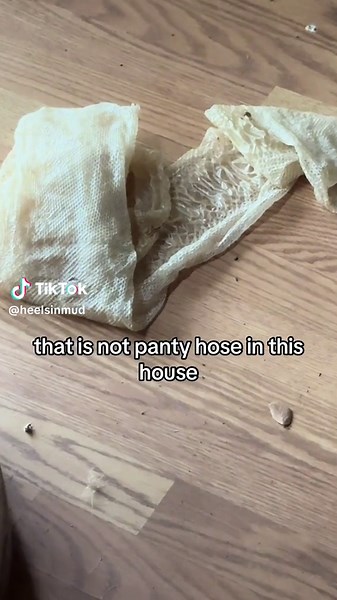 Unexpected Discovery: From Pantyhose to Python! 🐍 Exploring Vacant Houses Can Be Surprising! #SnakeSkin #RealEstateAdventures #realtor