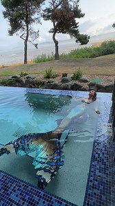 Mermaid enjoys a hot bath 🛁 #professionalmermaid #mermaidtail #mermaidlife #folklore #mermaidcore #mermaid #ocean #fantasycreature tail by Merbella Studios Inc. | Mermaid Sirenity