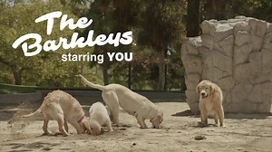 Join the Subaru dogs in this customizable video you can share with friends. Get started at https://bit.ly/2esqKrm #TheBarkleys | Subaru of America, Inc.