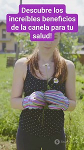 Descubre los increíbles beneficios de la canela para tu salud! | jardinería para principiantes | Facebook