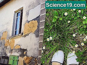 Разликата между твърда и мека пшеница 💫 Научно-Популярен Мултимедиен Портал. 2025