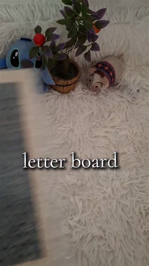 Creative Ideas for DIY Letter Board Projects