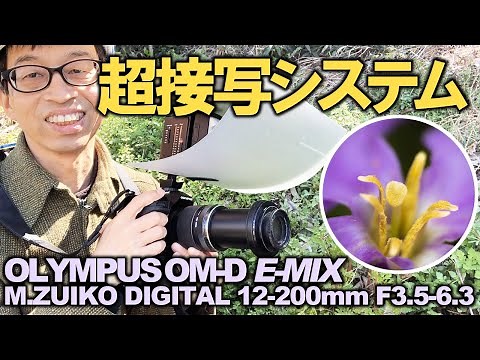 万能ズームが超万能化！【高倍率マクロシステム】 クローズアップレンズ+M.ZUIKO DIGITAL 12-200mm F3.5-6.3+OLYMPUS E-M1X