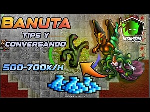 Banuta is underrated! PROFIT AND EXP IN 1 PLACE | Tibia Hunt from 500 to 700k in 1h EK ED MS RP