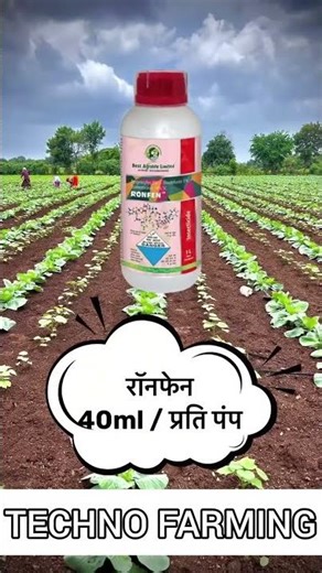 Thrips control insecticide #agriculturefarming #thripscontrol #insecticide #farming #ytshorts