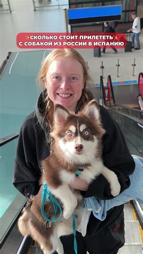 У нас самозанятая собака😂 #морозовы #юмор #собака | dogs