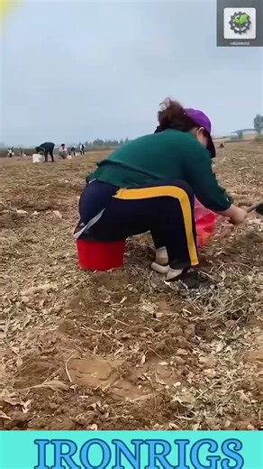 Genius Wearable Stool🛠 . The Official Gadget for People Who Hate Standing 😂#lifehacks