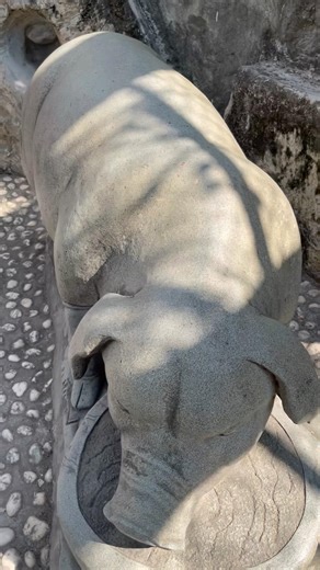 [Taiwan - Wunen Qiansu Park] A super-realistic stone pig statue 🐖 #YunlinTourism #WunenQiansuPark...