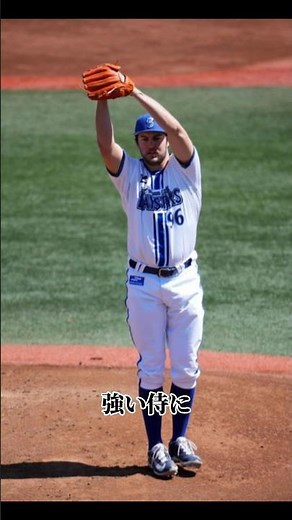 日本大好きバウアーさん