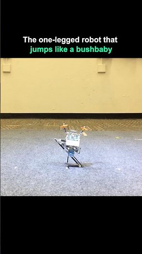 Meet Salto: A One-Legged Robot That Jumps Like a Bushbaby