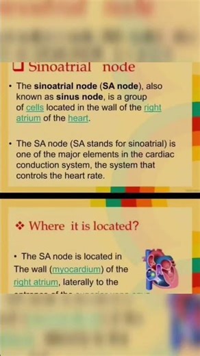 what is the SA node How does it functions???