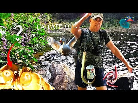 Je Pêche Des Anguilles à la Tâte EEL FISHING Technique Traditionnelle River FISHING 974