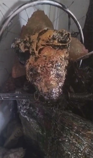 This is the Hyaene-Cerberus