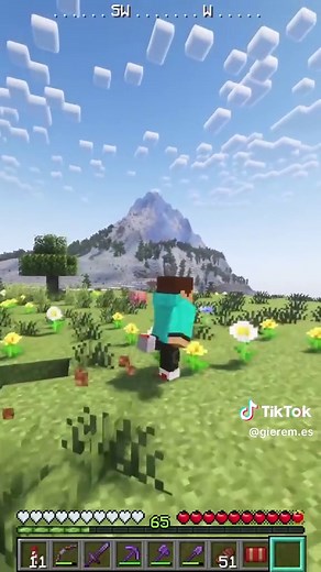 Indicador de Dirección en Minecraft Java