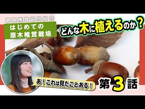 #高校生がしいたけ栽培 ？！ 第3話