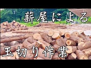 Hasqvarna572XP 杉8.3ｔひたすら玉切り動画【薪屋王への道#6】