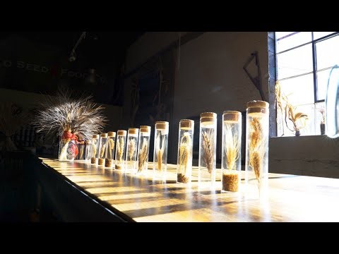 Growing Community, Culture, and Climate-Adapted Crops