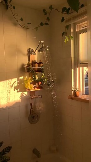 moring shower #fyp #sunrise #goldenhour #stayinghome #houseoftiktok #plantsoftiktok | Elysium Ensemble