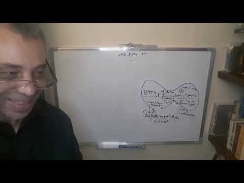 Module 310 - Lecture 6 - Part 2