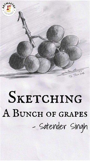 Sketching a Bunch of Grapes #sketch #cross-hatching #artclass #drawing #sketchart