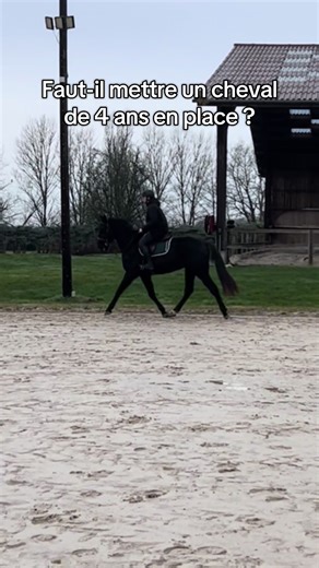 Trop tôt ?#cheval #horseoftiktok #equitation #jeunecheval #horseriding