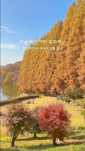 서울 근교 가을 단풍 명소 (📌정보 설명 참고) #단풍명소 #단풍놀이 #단풍여행 #단풍구경 #단풍나무 #단풍 #가을여행 #가을여행지 #서울근교드라이브 #서울근교데이트 #명수당