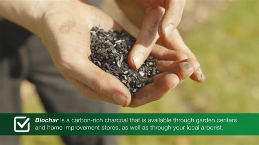 STEWARDSHIP WEEK: Nothing is more important to the health of your plants than the soil. Biochar is a new, environmentally friendly soil additive. Here's a cool Biochar fact: It helps sequester carbon by storing it in the soil, so it doesn't end up in the atmosphere. Watch this video to learn more about Biochar and its benefits. | The Davey Tree Expert Company