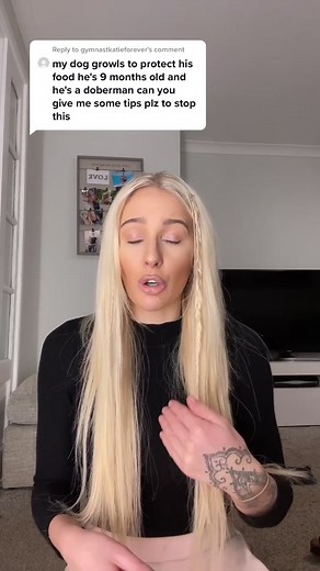 Dealing with Dog Food Aggression: Expert Advice