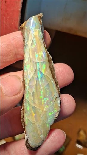 Boulderopal #crystals #opalicious #gemstone #gemquality #opal #minerals #gems #crystalshop