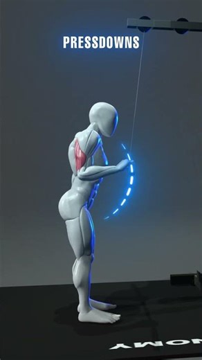 Hit all three heads — build stronger, fuller triceps.