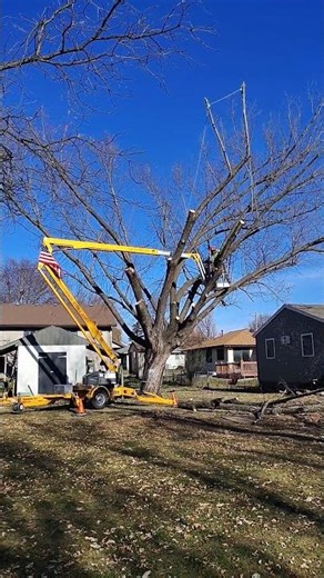 A Short Drop for a Small Log!