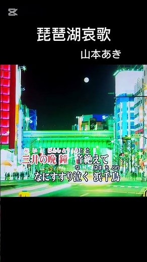 琵琶湖哀歌 / 山本あき