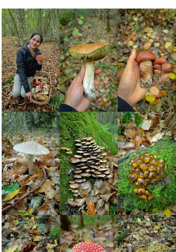 កញ្ញាចូលថែមទៀតជាមួយកញ្ចប់បីតាមដែលធ្វើនៅប្រទេសបារាំង