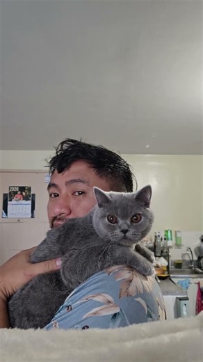 burp the baby #cat #catworld #kitten #funnyvideo #pets #petlover #cutecat #cute #vlog