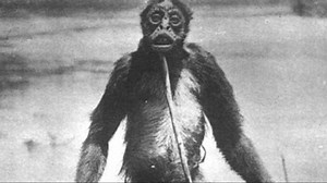 The Real Stories Behind These Incredibly Bizarre Photographs