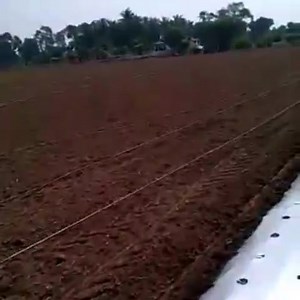 Laying drip tapes and mulching film This is what we need om the farm Machineries We need to simplified the work | Farmvilla Resource Centre