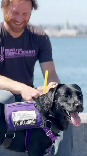 4 comments | Veteran Nick has only had service dog Nina (@nina415sf) in his life for 3 months, but it’s made a massive difference. He explained to us this morning just how big of a positive influence having this amazing has had for him. Help us create more stories like this by donating to @pawsforpurplehearts.ca at KSON.com. We’re far from our goal of $35,000 to provide a service animal to a local veteran and need your help! | 103.7 KSON | Facebook