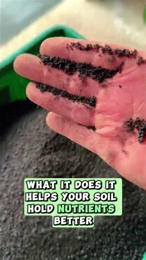 Humic DG What Your Lawn Is Missing #lawncare #soilhealth #humicacid #turfmanagement