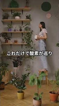 【午後の 睡魔撃退！】 すぐできる 日中眠気対策 5つ #健康 #雑学 #豆知識 #プチ知識 #解説 #生活習慣 #脳の疲れ #脳スッキリ #眠気さまし #眠気