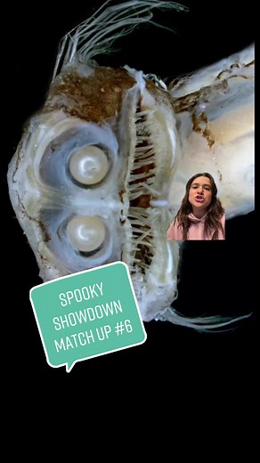 Fascinating Ocean Facts: Telescope Fish and Sand Striker Worm