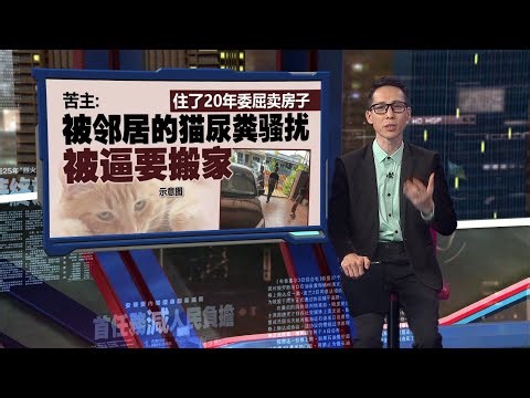 住了20年委屈卖房子 苦主：被邻居的猫逼到搬家 | 新闻报报看 01/01/2026