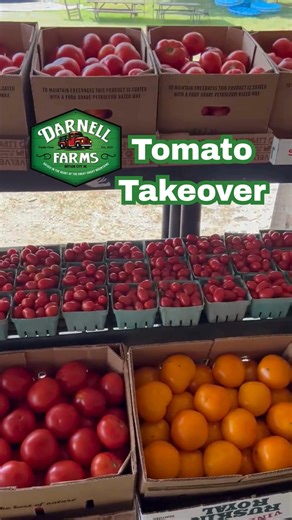 9.4K views · 173 reactions | There's a full-blown TOMATO TAKEOVER on...