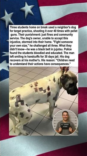 Black Belt Avenges Shot Dog