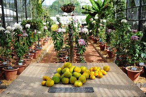 3 places to visit in the Western Cape this weekend