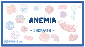 Anemia: Nursing pathophysiology: Video, Causes, & Meaning | Osmosis