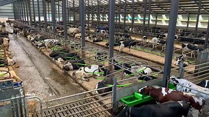 16K views · 319 reactions | DeLaval open day on the farm of Jason Mitchell, Co. Tyrone. Impressive system milking over 600, operating an all-year-round calving with 8 DeLaval robots and a 50-unit rotary parlour. Wilson Agriculture Genus ABS | Grasstec | Facebook