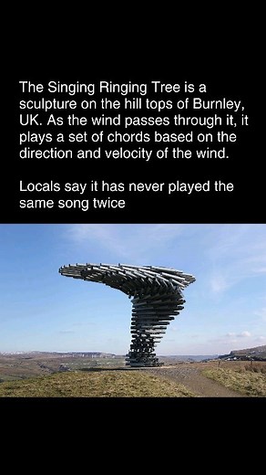 Interesting Facts & Stories on Instagram: "The Singing Ringing Tree, a captivating wind-powered sculpture in Burnley, UK, produces a mesmerizing, ever-changing melody. Perched atop a hill, the 3-meter-tall structure is composed of galvanized steel pipes that swirl to form a tree-like shape. As the wind blows through the pipes, it generates a hauntingly beautiful, discordant sound spanning several octaves. The sculpture's design, by architects Mike Tonkin and Anna Liu, harnesses the power of the